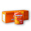 Torkad Mango 80g / 18 st